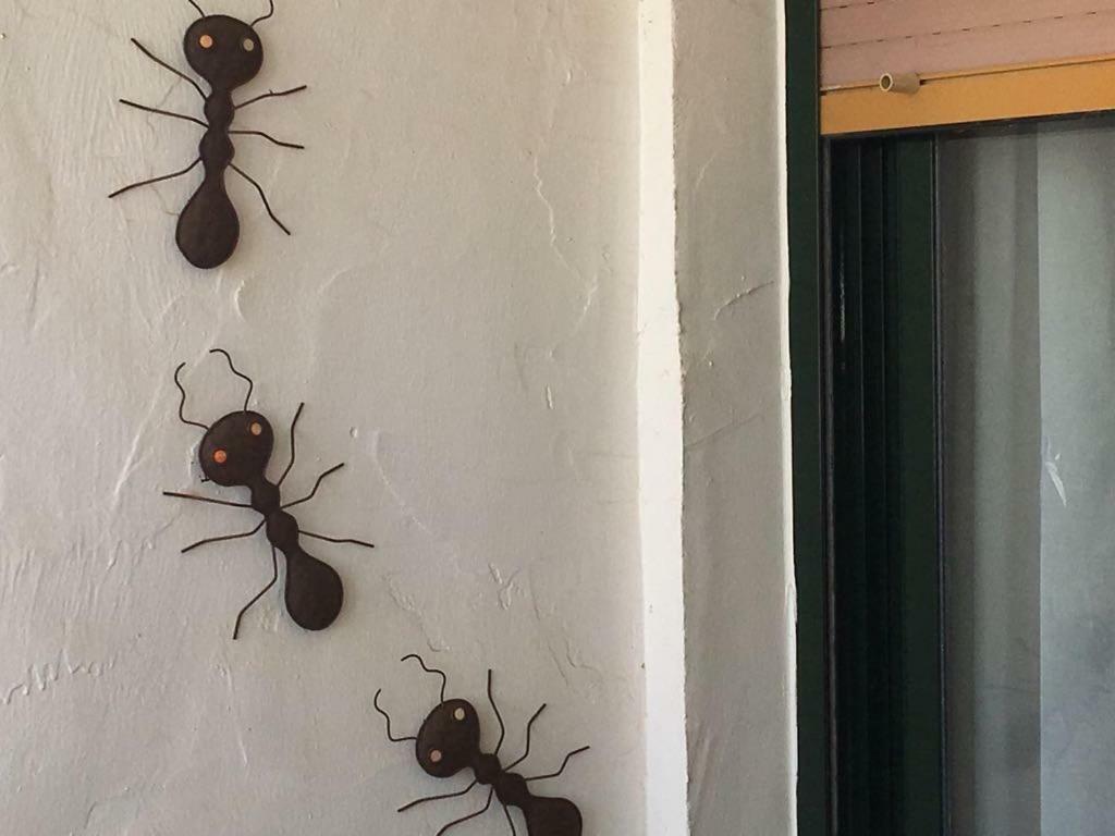 Bonito Apartamento En Zahara De Los Atunes Esterno foto